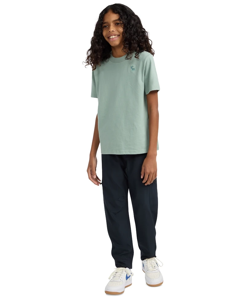 abercrombie kids Boys Essential T-Shirt