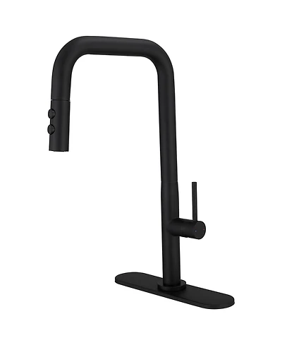 Single Handle Pull-Down Sprayer 1 Spray High Arc Kitchen Faucet With Deck Plate in Matte Black