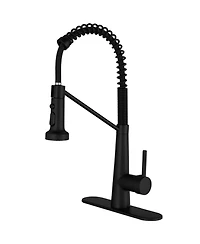 Single-Handle Pull-Down Sprayer 2 Spray High Arc Kitchen Faucet With Deck Plate in