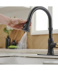 Single-Handle Pull-Down Sprayer 3 Spray High Arc Kitchen Faucet With Deck Plate Oil Gold&Black