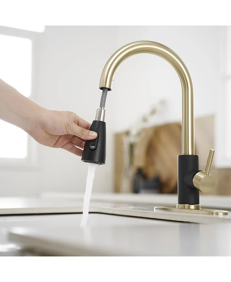 Greenspring Single-Handle Pull-Out Sprayer Kitchen Faucet with Supply Lines in Matte Black and Brushed Nickel