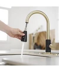Greenspring Single-Handle Pull-Out Sprayer Kitchen Faucet with Supply Lines in Matte Black and Brushed Nickel
