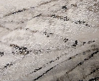 Feizy Vancouver 39NTF 4'x6' Area Rug