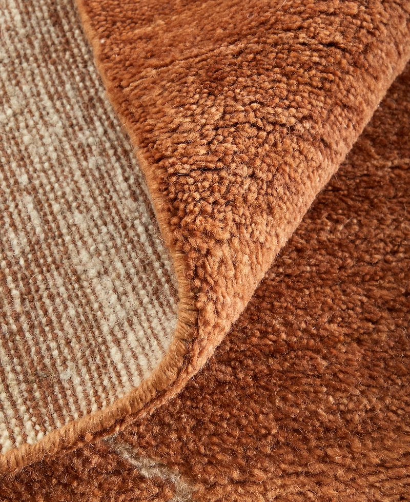 Feizy Agape 69H8F 7'9"x9'9" Area Rug