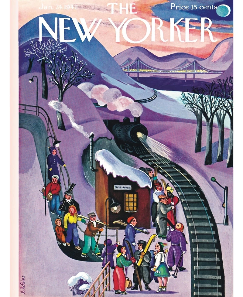 New York Puzzle Company Skiing Express 500 Piece Puzzle