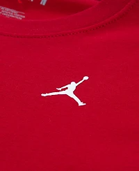Jordan Toddler and Little Boys Jumpman Global Rise Long Sleeve T-Shirt