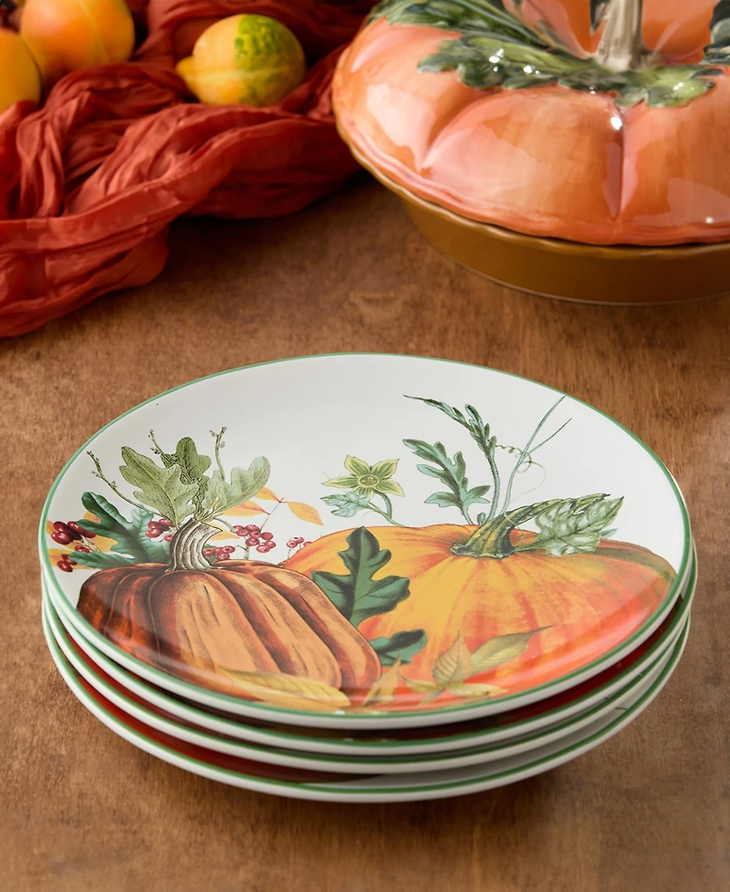 Certified International Harvest Fields Dinner Plates, Set of 4