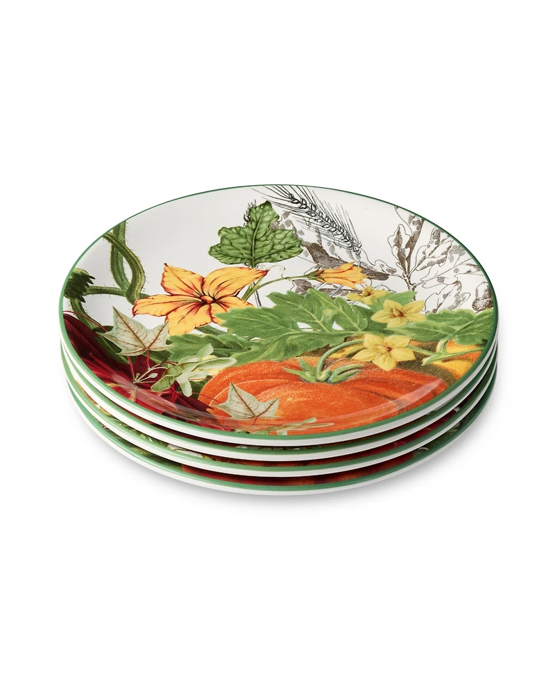 Certified International Harvest Fields Salad Plates, Set of 4