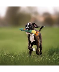 Nocciola 2-in-1 Squeaky Duck Dog Toy,Christmas gift,Cute Stuffed Dog Toys with Large Durable Rubber Squeaky Core for Aggressive Chewers