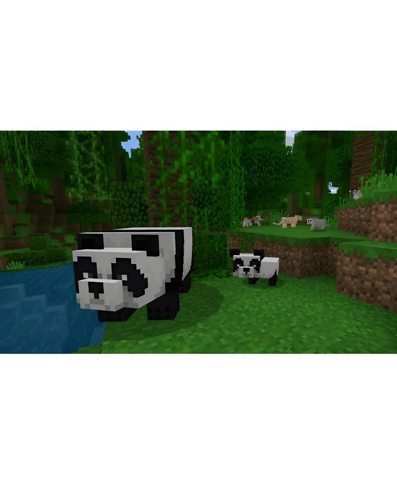 Sony Playstation Minecraft Starter Collection for PlayStation 4