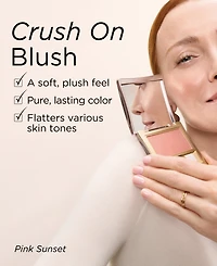 Powder Blush Shimmer & Matte Finishes