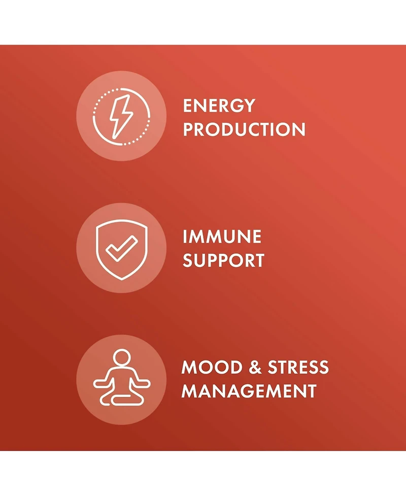 Dr. Mercola Ashwagandha, 90 Servings, Supports Energy Production