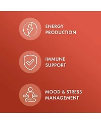 Dr. Mercola Ashwagandha, 90 Servings, Supports Energy Production
