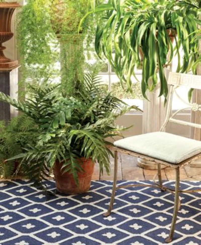 Dash Albert Rugs By Annie Selke Elizabeth Indoor Outdoor Da771 Rug Collection