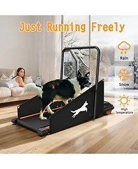 Streamdale Furniture Dog Treadmill - Small & Medium Dogs - Run & Walk