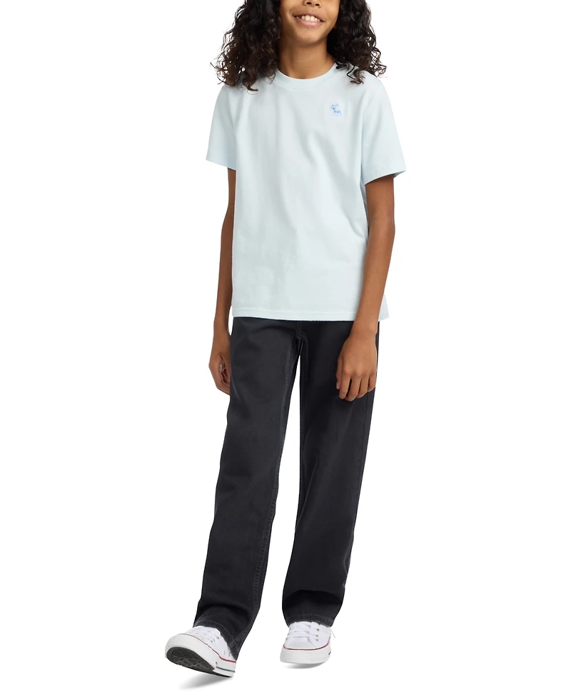 abercrombie kids Boys Baggy Fit Jeans