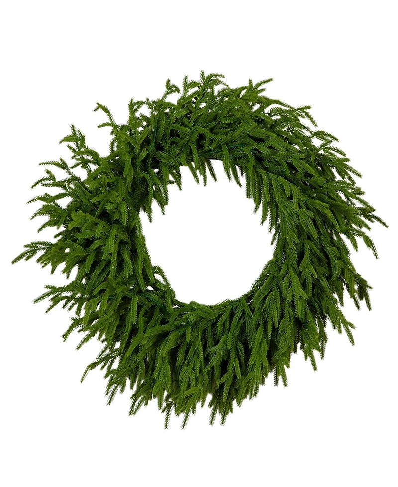 Nearly Natural 24" Pre-Lit Artificial Touch Norfolk Island Pine Wreath Led Lights and Natural Look