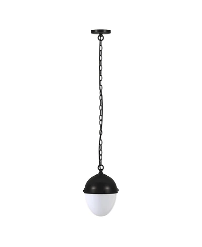 Hudson & Canal Aurelia 13" Metal Pendant with Glass Shade