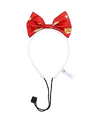 Jerry Leigh Kansas City Chiefs Cheer Dog Costume