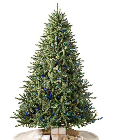 Balsam Hill 6.5 ft Pre-Lit Classic Spruce Tree