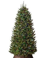 Balsam Hill 6.5 ft Pre-Lit Fraser Fir Narrow Tree