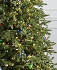 Balsam Hill ft Pre-Lit Silverado Slim Tree