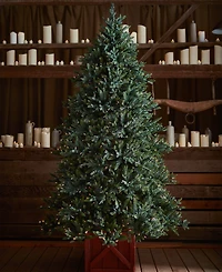 Balsam Hill 7.5 ft Pre-Lit Colorado Mountain Spruce Tree