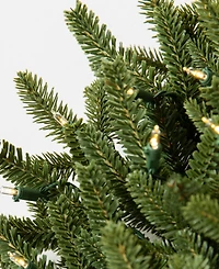 Balsam Hill 10 ft Fraser Fir Pre-Lit Garland