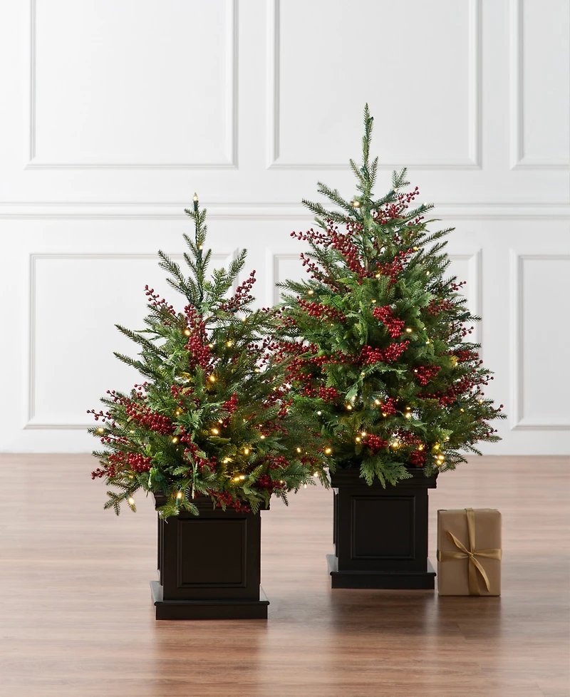 Balsam Hill 3 ft Outdoor Berry Pre-Lit Potted Tree