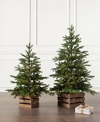 Balsam Hill Country Farm Pre Lit Fir Tree Collection
