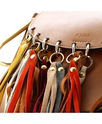 Pre-Owned Chloe Small Multicolor Fringe Hudson Bag Leather
