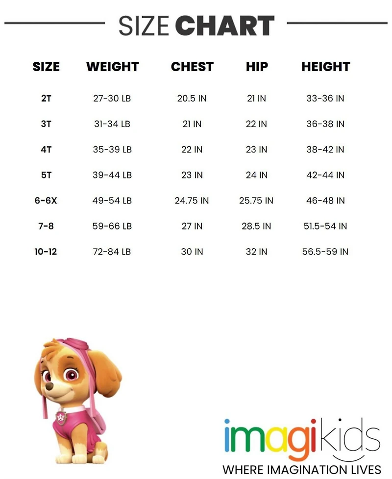 Paw Patrol Toddler Girls Skye Everest T-Shirt and Bike Shorts Outfit Set Toddler|Child