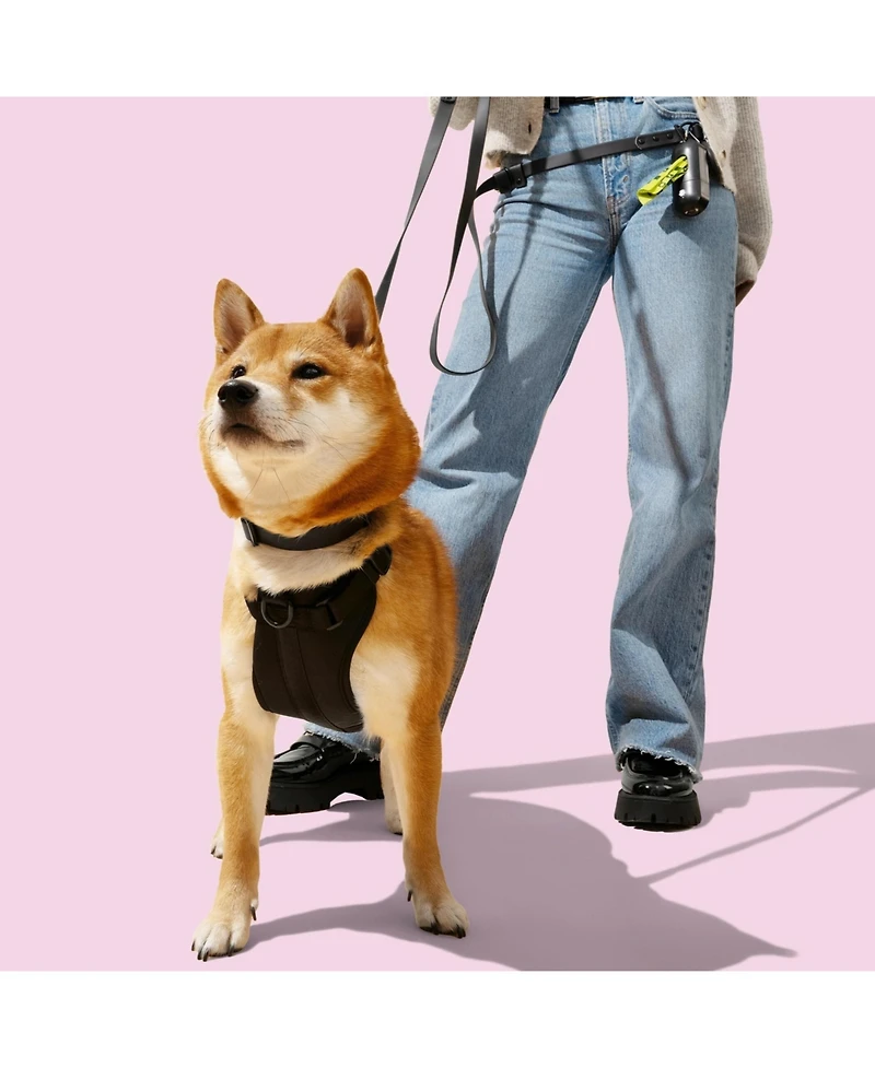 The Licker Store, Luna 8FT Adjustable 6-in-1 Waterproof Hands-Free Leash and Collar with Led Flashlight, Bag Dispenser