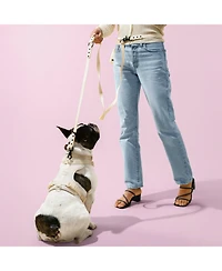 The Licker Store, Luna 8FT Adjustable 6-in-1 Waterproof Hands-Free Leash and Collar with Led Flashlight, Bag Dispenser