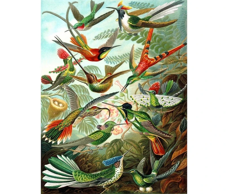 New York Puzzle Company Hummingbirds 1000 Piece Puzzle