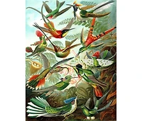 New York Puzzle Company Hummingbirds 1000 Piece Puzzle