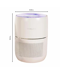 Oval Air H13 Smart Desk Purifier – 150 sq. ft. | Filters Allergies, Odors & Smoke