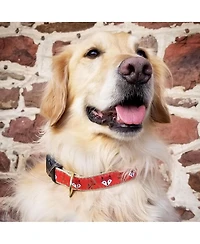 Up Country Foxy Dog Collar