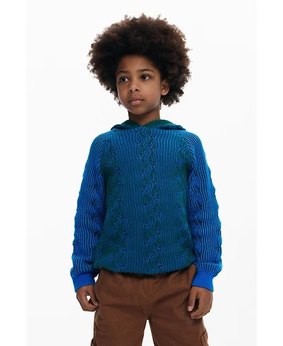 Desigual Boys's Blue hooded sweater