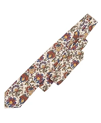 Elizabetta Big & Tall Bardini - Printed Madder Silk Tie for Men
