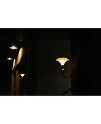 Solar-powered Martini Led Light - 2 Packs