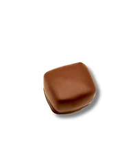 Bixby Chocolate Pecan Caramel Cutes Dark Chocolate, 18 Pieces