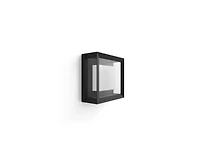 Philips Hue White and Color Ambiance Econic Outdoor Wall and Ceiling Light - Black