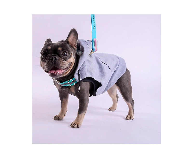 K9 Wear Starter Kit with Genuine Leather Jacket