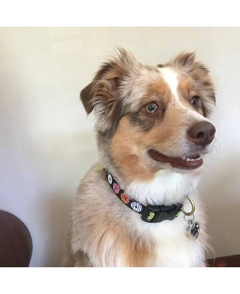 Up Country Donuts Dog Collar