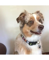 Up Country Donuts Dog Collar