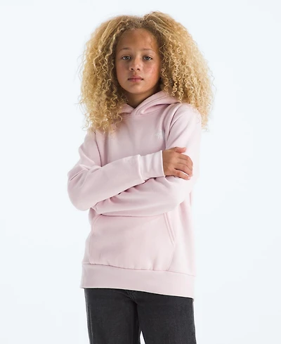 The North Face Big Girls Evolution Box Pull On Hoodie