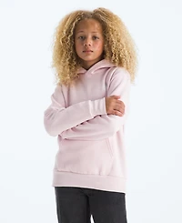 The North Face Big Girls Evolution Box Pull On Hoodie
