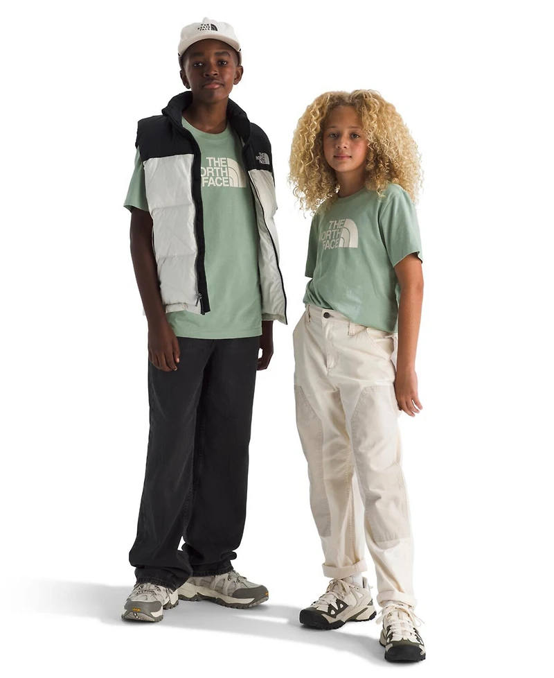 The North Face Big Boys Teen Evolution Half Dome Short Sleeve T-Shirt