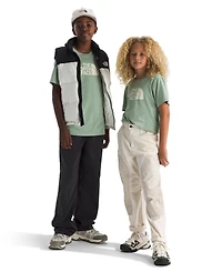 The North Face Big Boys Teen Evolution Half Dome Short Sleeve T-Shirt